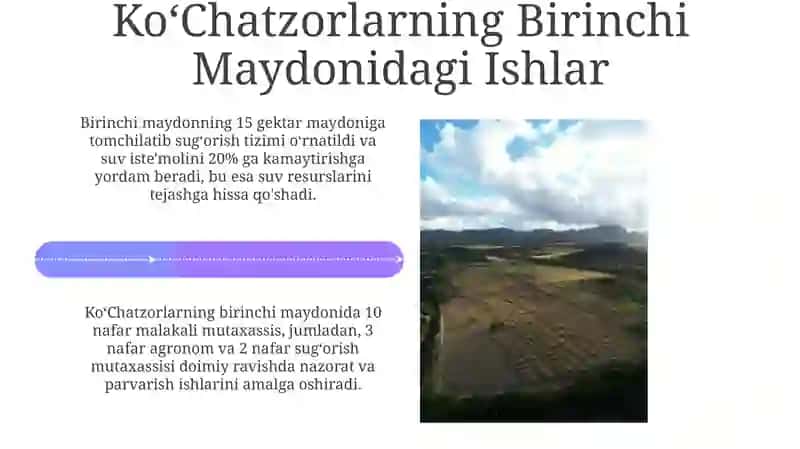 Koʻchatzorlarni birinchi va ikkinchi dalasida amalga oshiriladigan ishlar 4