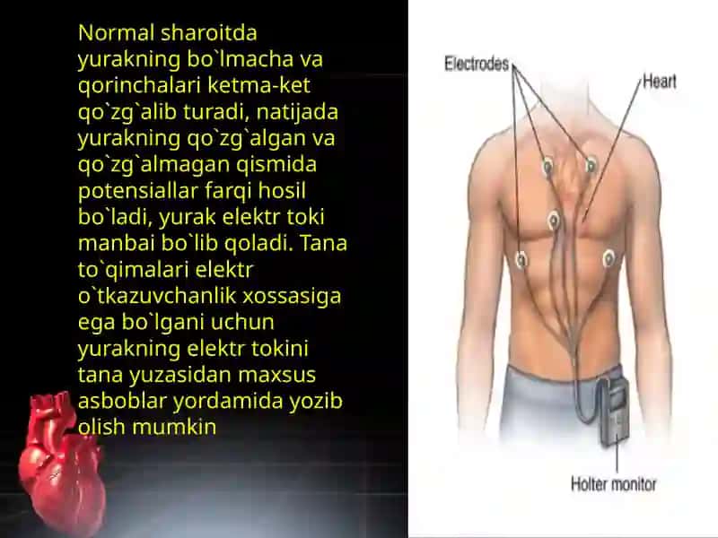 Yurak faoliyatini tekshirish usullari. Elektrokardiografiya 4
