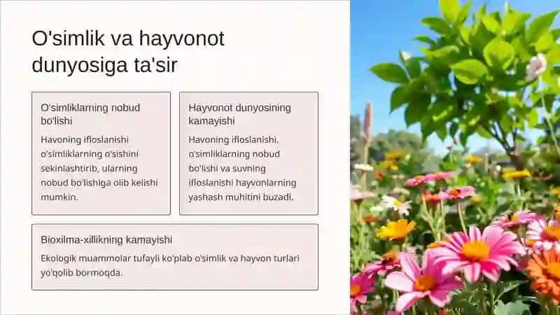 Ekologik muammolar va ularni bartaraf etish 4