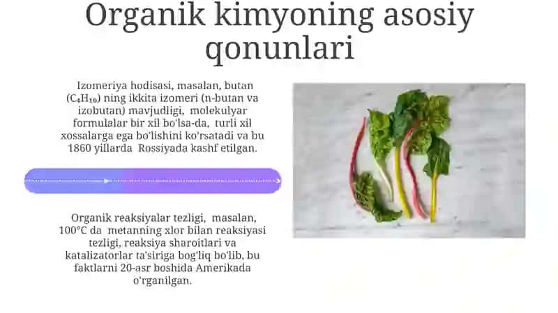 Organik kimyo fanining asosiy qonuniyatlari va ahamiyati 4