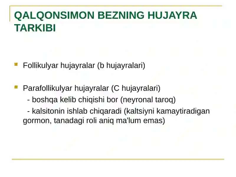 Anatomiya va Qalqonsimon Bez Fiziologiyasi 4
