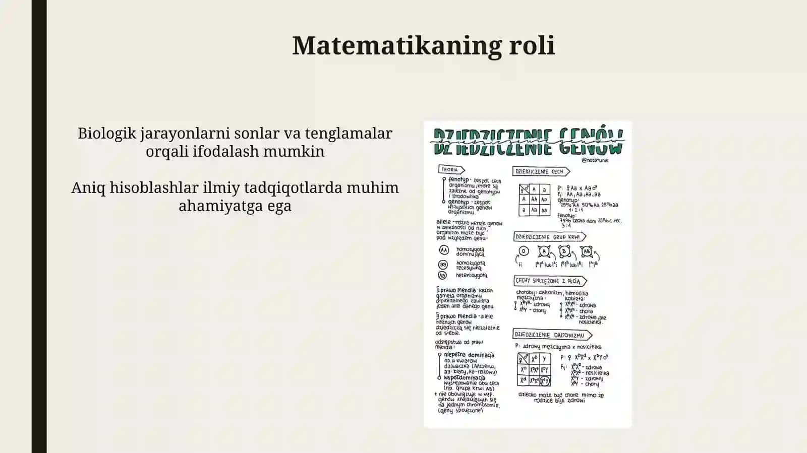 Matematika va biologiya bogliqligi 4