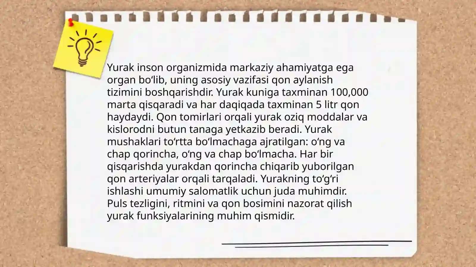 Yurak qon tomir sistemasi 4