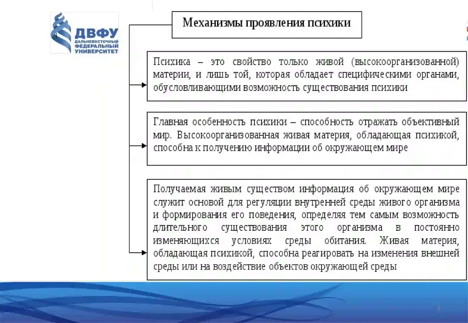 Психика: определение, структура, механизмы, эволюция в филогенезе 4