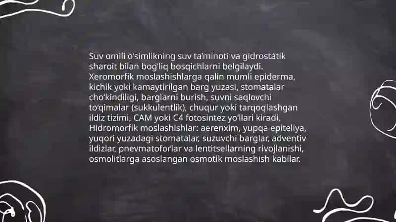 O‘simliklar ekologiyasi: muhit omillariga moslashish va o‘t o‘simliklar tasnifi 4