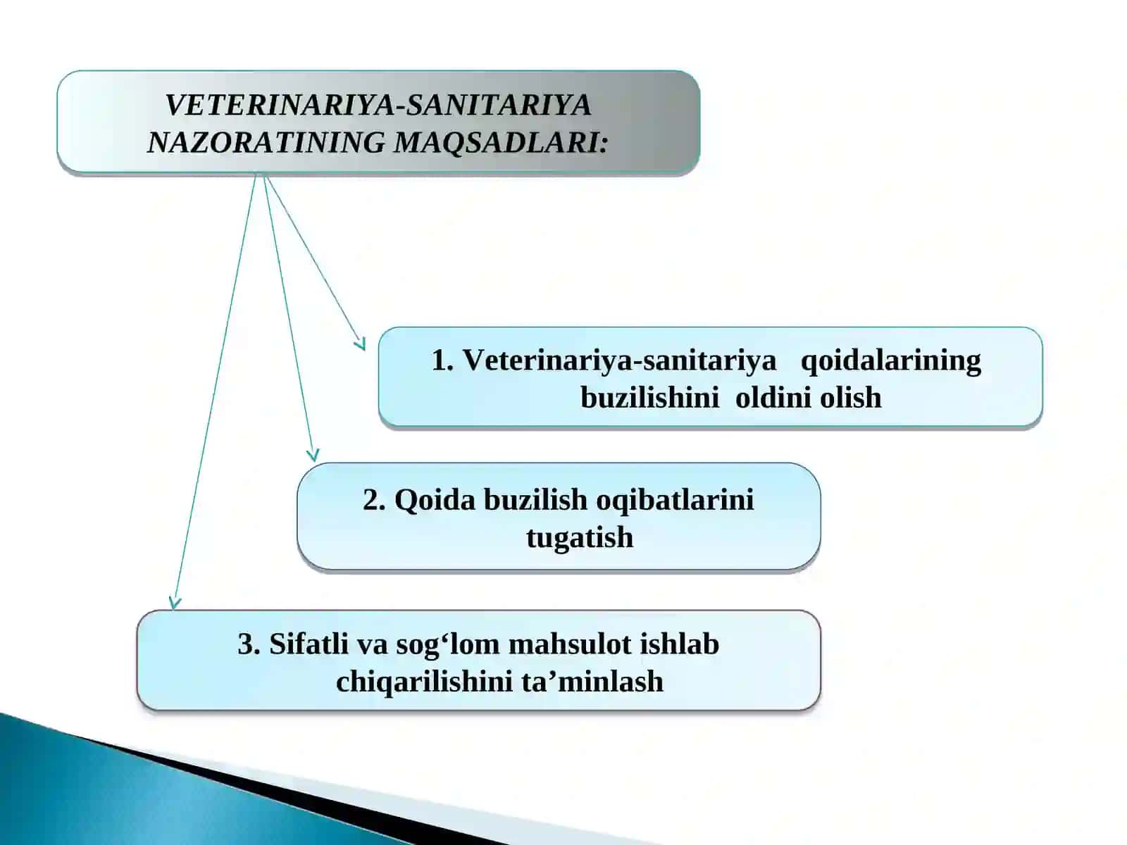 VETERINARIYA SANITARIYA NAZORATINI TASHKIL QILISH 4
