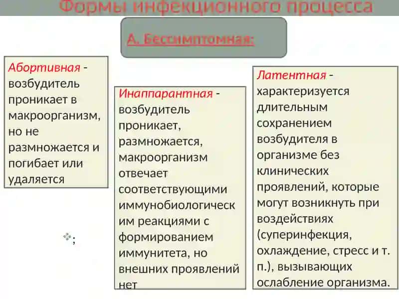 Инфекционный процесс 4
