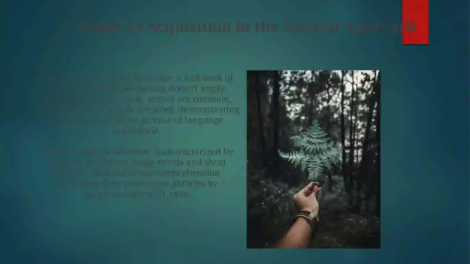 The Natural Approach 4