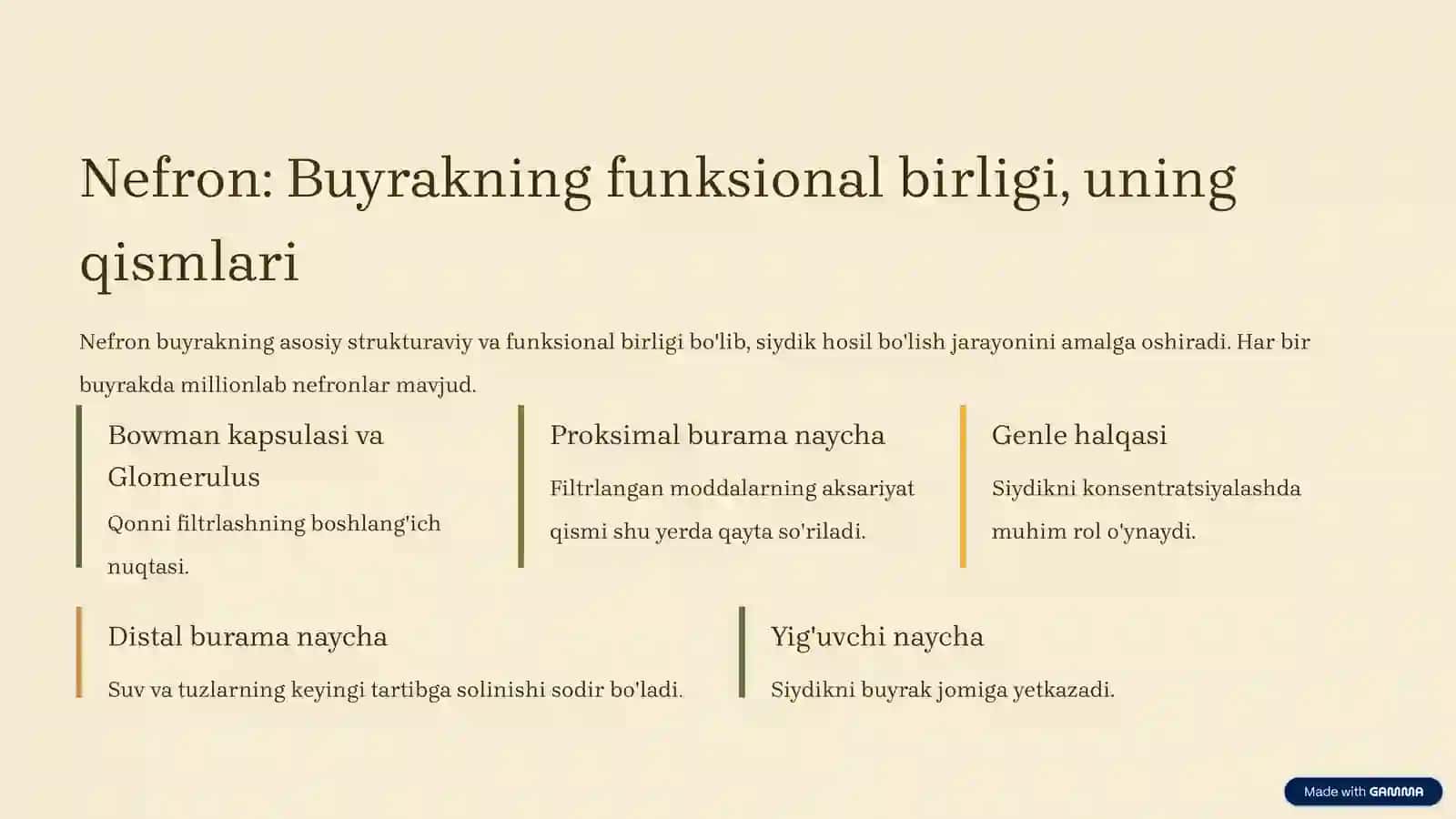 Ayirish tizimiga kiruvchi a'zolarning tuzilishi va fiziologiyasi 4