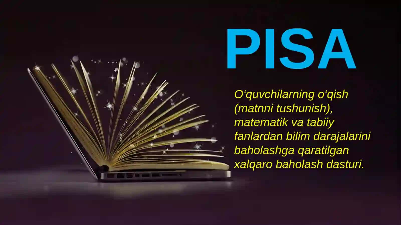 Matn va uni ustida ishlash bo'yicha PISA topshiriqlari 4
