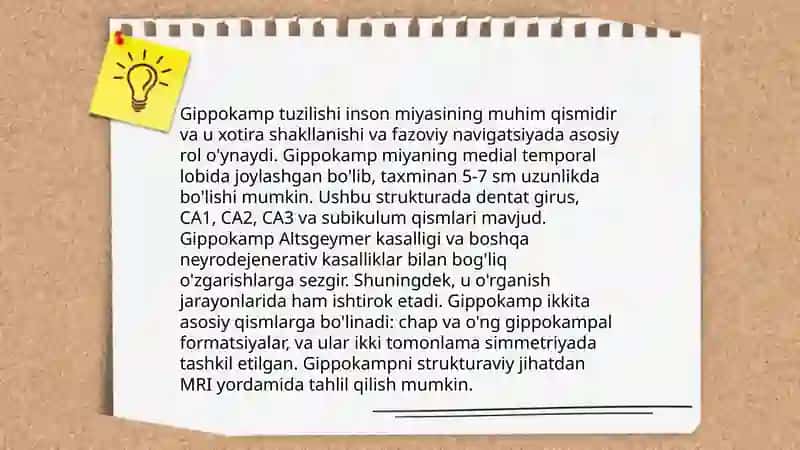 Limbik tizim asosiy anatomik xosilalari 4