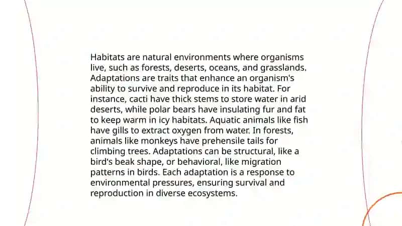 Project describing animals 4