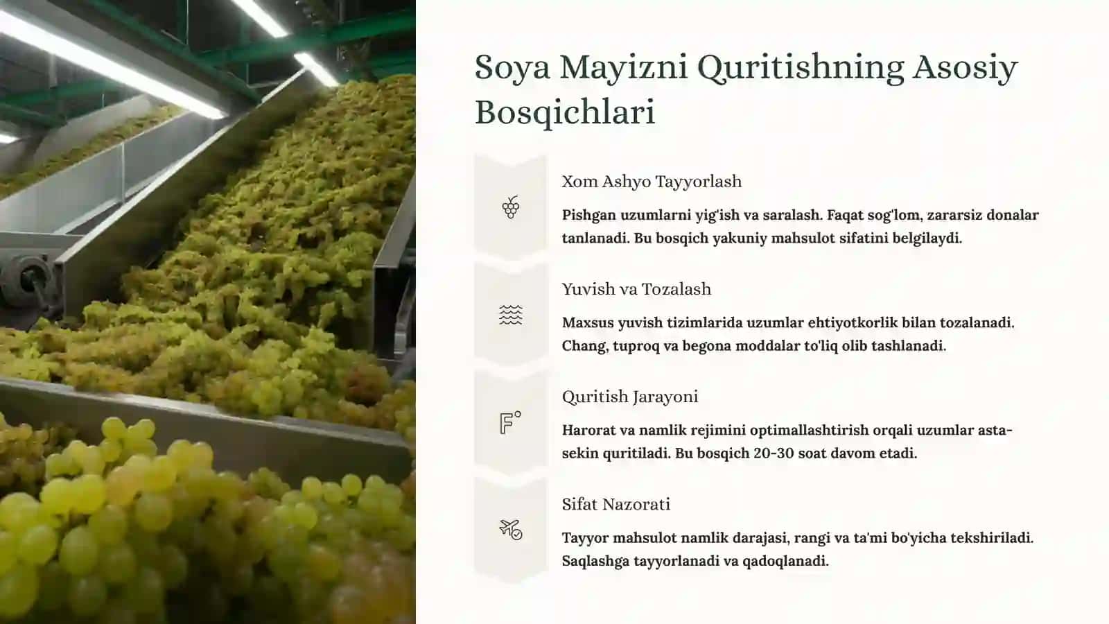 Soyaki Mayiz Tayyorlash Texnologiyasi 4