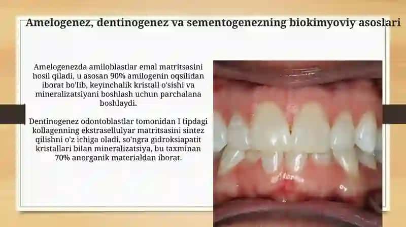 Tishlar almashuvining biokimyoviy asoslari 4