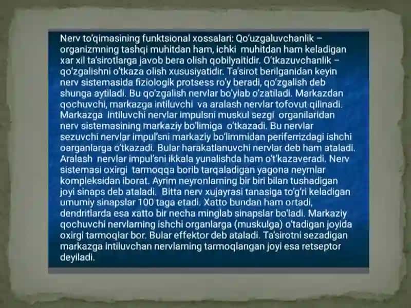 Nervsistemasining Tuzilishi 4