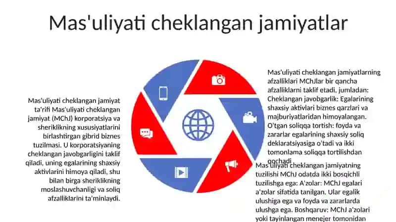 Biznes Subyekti Uning Strukturasi 4