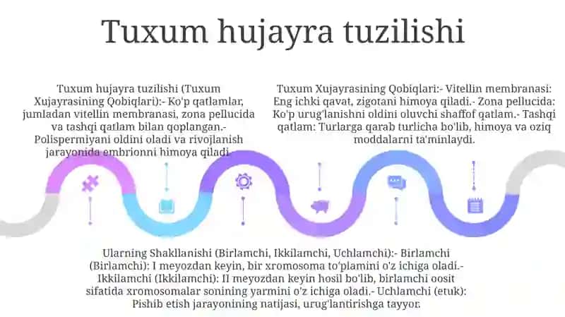 Tuxum Xujayrasining Qobiqlari, Ularning Shakllanishi (Birlamchi, Ikkilamchi, Uchlamchi) 4