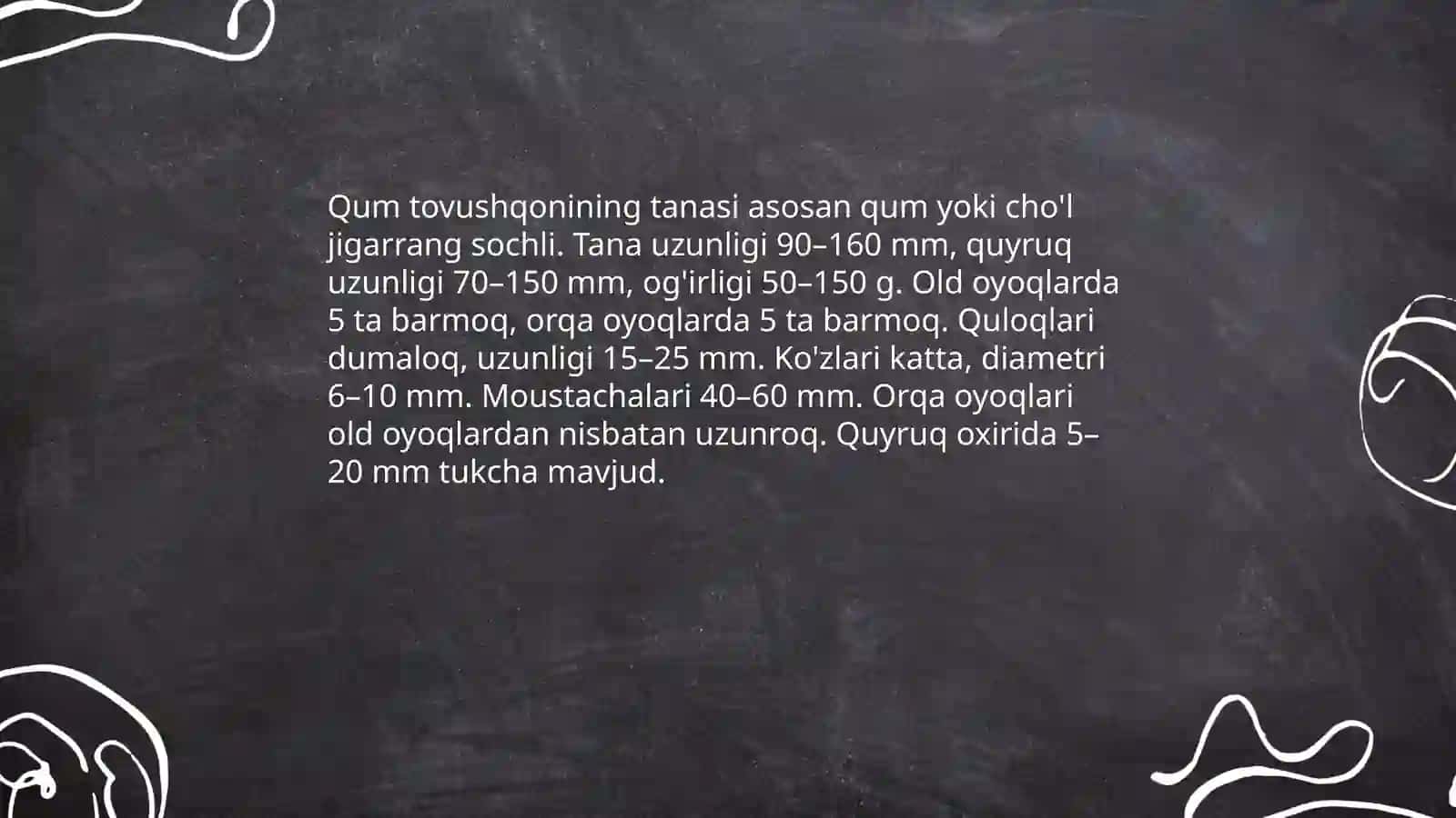 Sut emizuvchilar sinfi va qum tovushqonining umumiy xususiyatlari 4