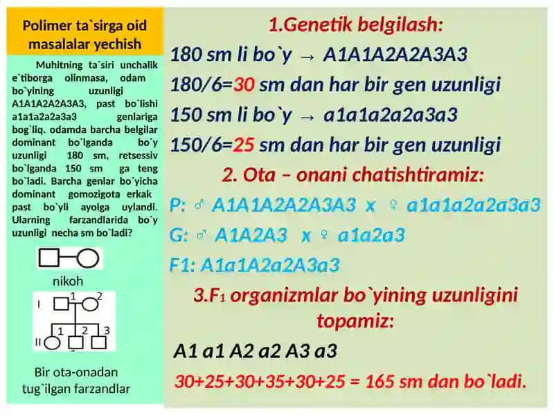 “GENLARNING    O`ZARO    POLIMER    TA`SIRLANISHIGA    OID   MASALALAR YSHISH” MAVZUSIDA    TAYYORLAGAN  SLAYDI 4