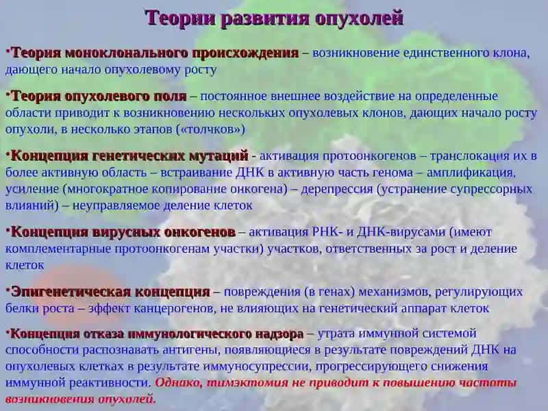 Иммунные механизмы защиты при новообразованиях 4