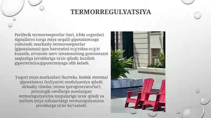 Vegetativ oliy markazlar va ularning funksional ahamiyati 4