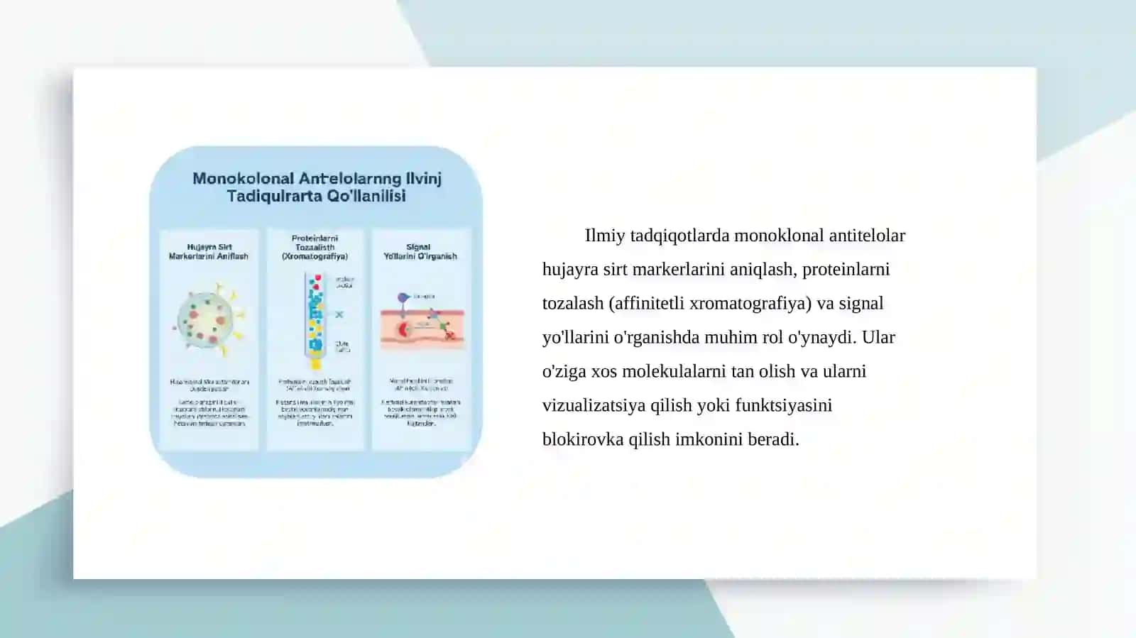 Monoklonal antitelolar, olish usullari va tibbiyot amaliyotida qo'llanilishi 4