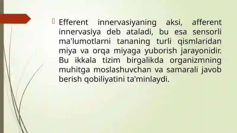 Efferent innervasiya haqida tushuncha 4