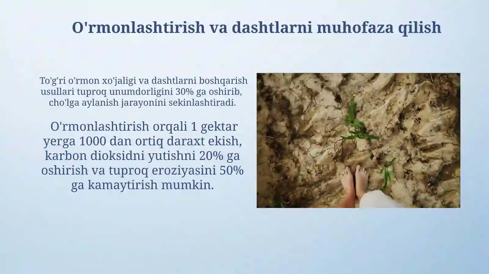 Tuproq Resurslari va ularni muhofazasi 4