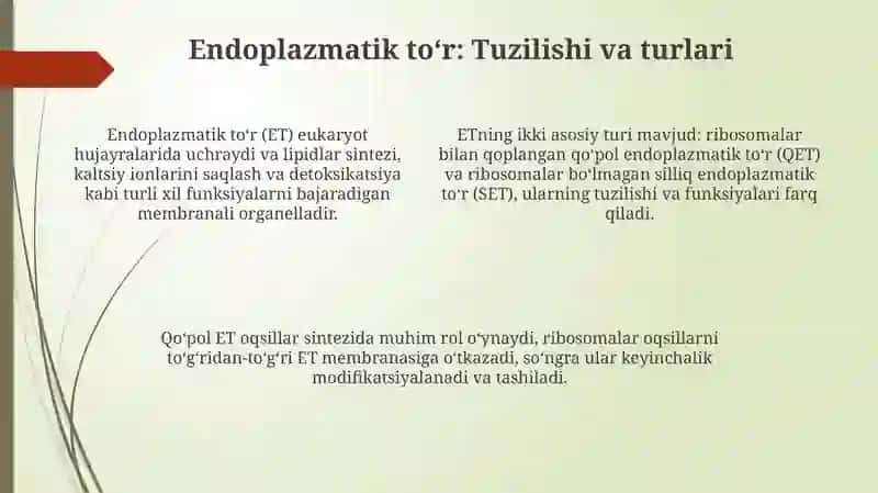 Sitoplazma organoidlarining klassifikatsiyasi, endoplazmatik tor, ribosomaning tuzulishi va vazifasi 4
