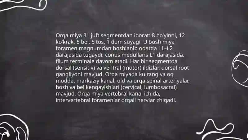 Bosh miya va orqa miya 4
