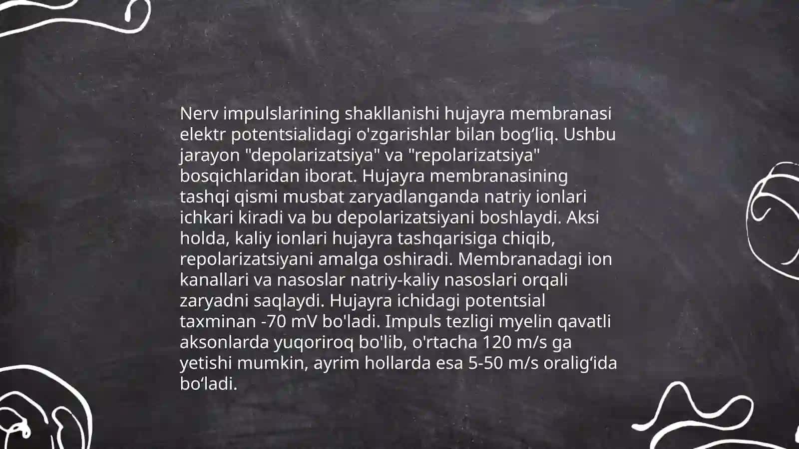 Sezgilarning nerv fiziologik asoslari 4