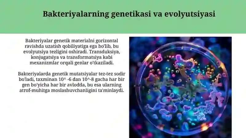 Bakteriyalar 4