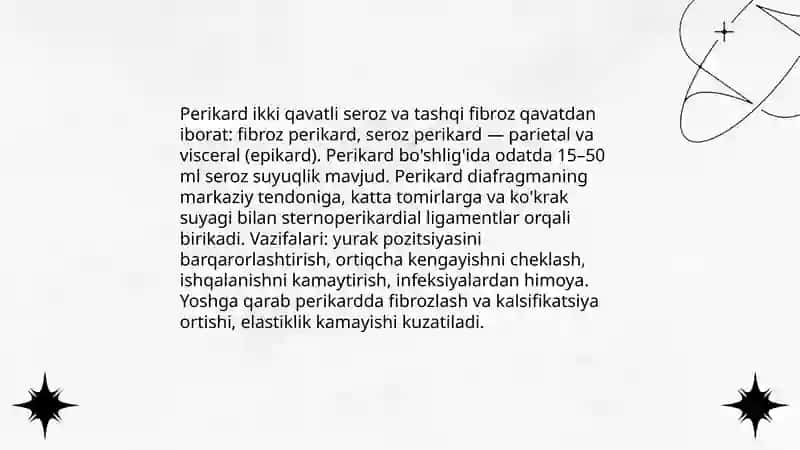 Yurak tuzilishi topografiyasi va funksional anatomiyasi 4