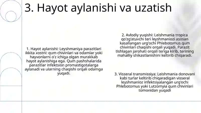 Leyshmaniyalar Avlodi.Teri Va Visseral Leyshmaniozning QoʻZgʻAtuvchisi 4