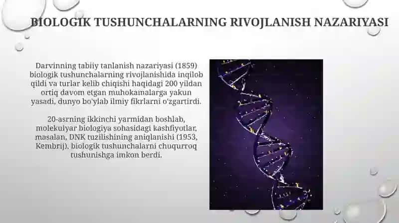 Biologiya tushunchalarini rivojlantirish nazaryasi 4