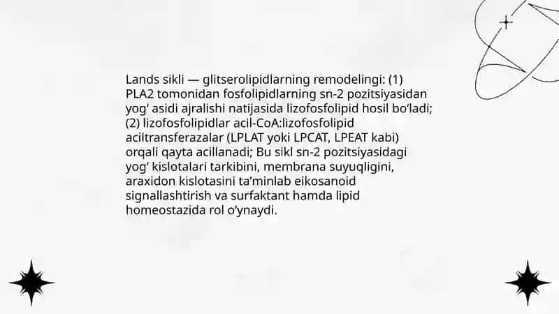 Yogʻlarning oraliq almashinuvi 4