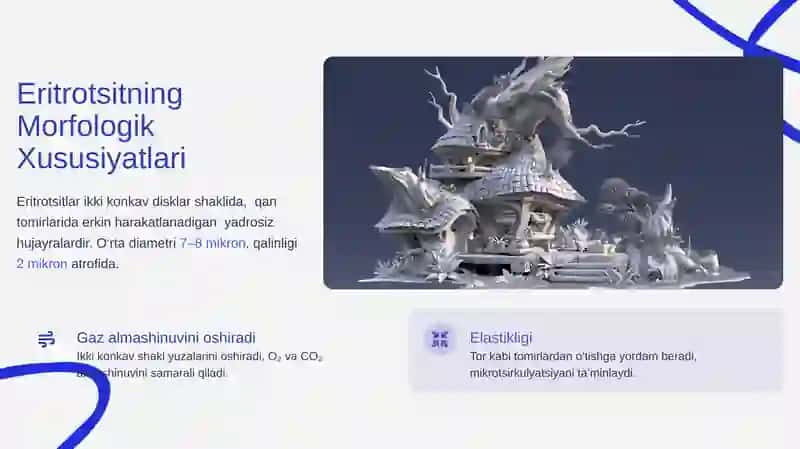 Eritrotsit va Gemoglobin 4