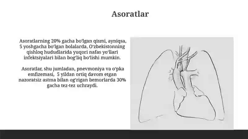 Bronxial astma 4
