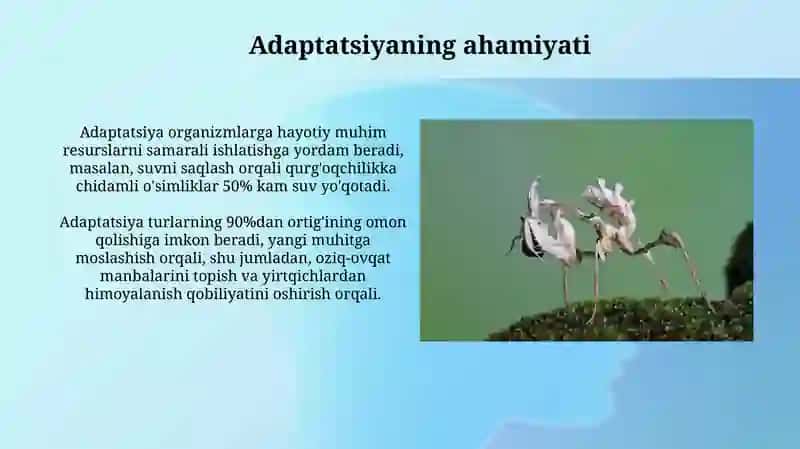 Organizmlarning muhitga moslashishi va uning hillari 4
