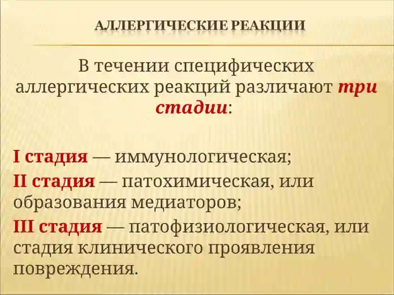 Аллергия 4