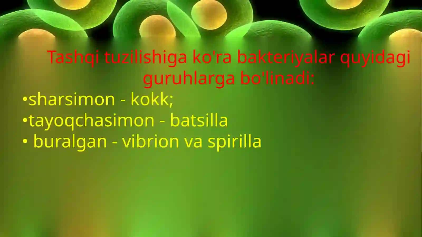 Bakteriyalar dunyosi 4