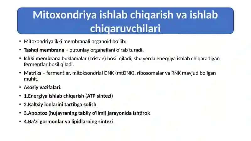 Mitoxondrial kasalliklar 4