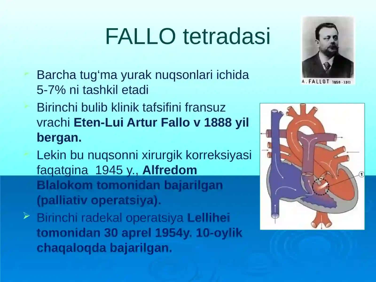 Yurak tuzilishi, yurakning o’tkazish sistemasi 4