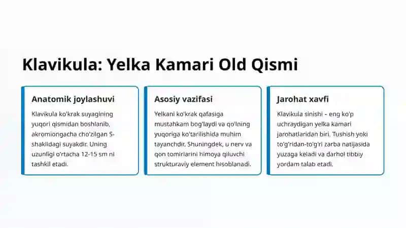 Yelka Kamari Suyaklari: Anatomiya va Vazifalar 4