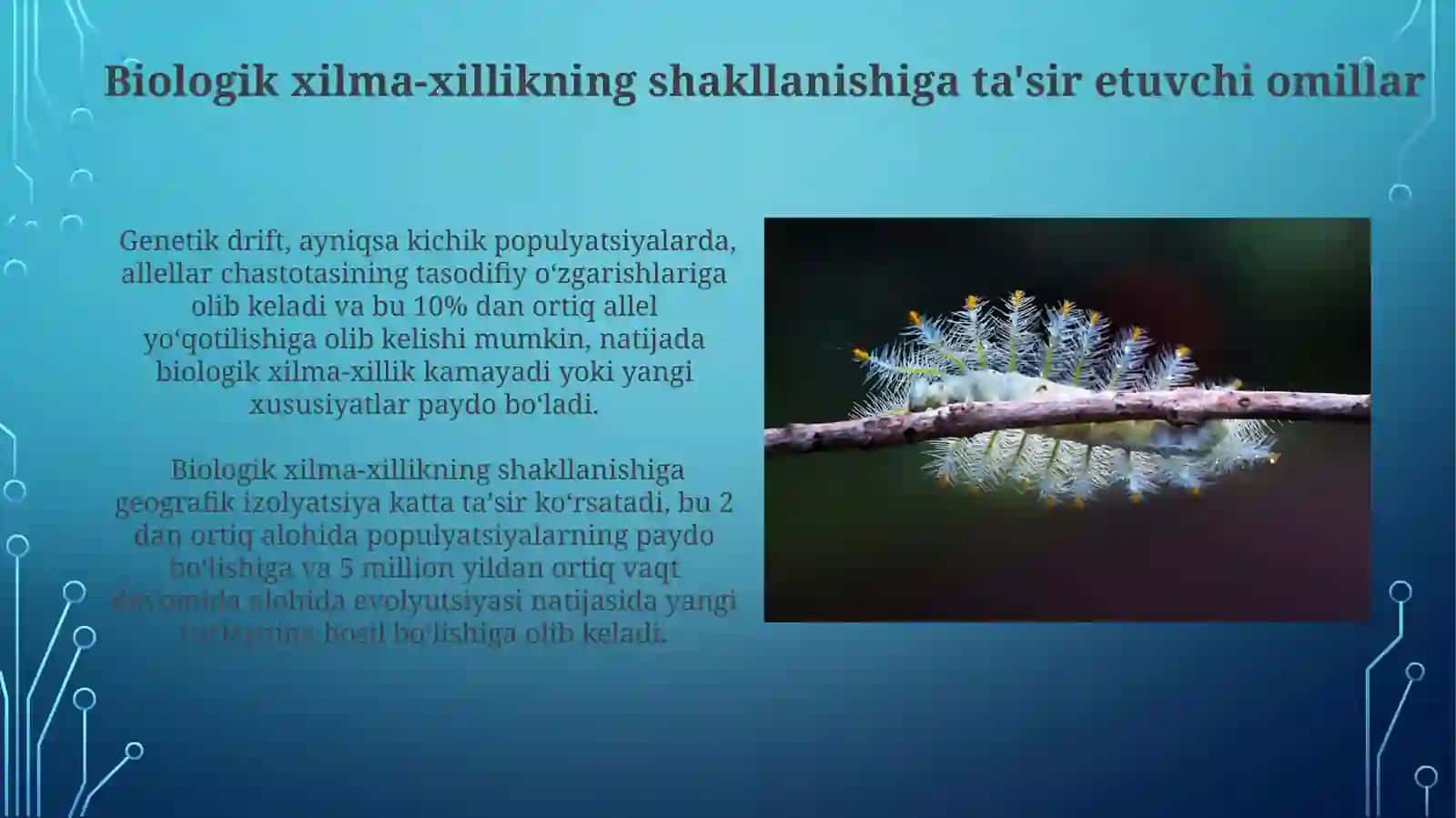 Biologik xilma hillik va uning shakillanishi 4