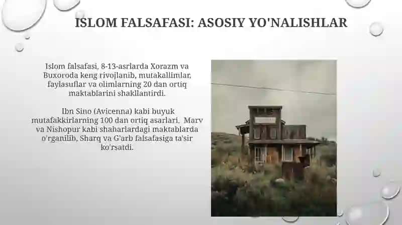 Falsafaning mohiyatiga oid Sharq va G'arb mutafakkirlari 4