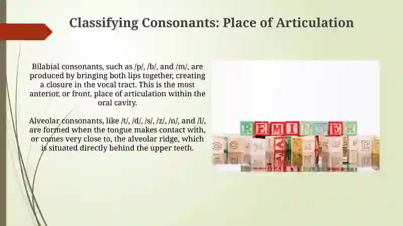 Classification of Consonants and Vowels 4