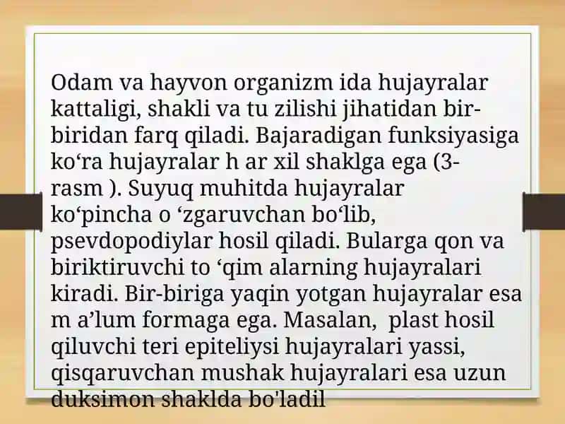 SITOLOGIYA (HUJAYRA HAQIDA TA’LIMOT) 4