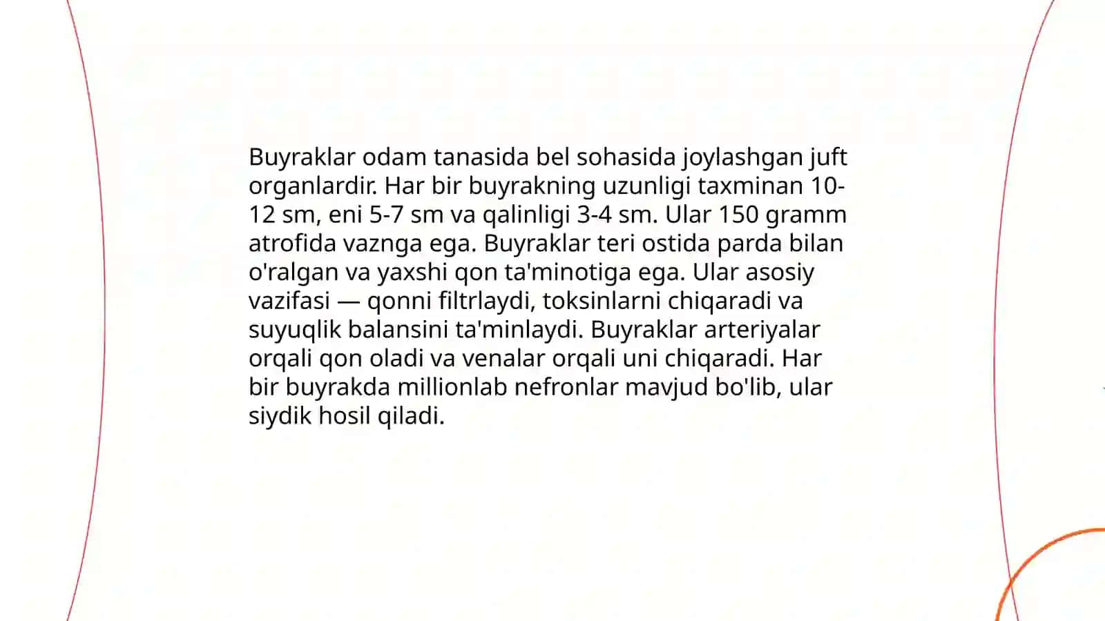 Siydik ayiruv a'zolarining funktsional anotomiyasi 4