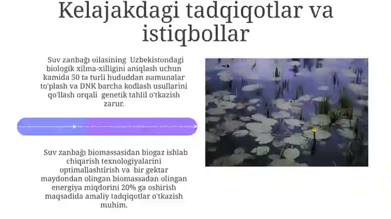 O’ZBEKISTONDA NILUFARGULDOSHLAR (Nymphacoideaces R.A.Salibs) OILASI 4